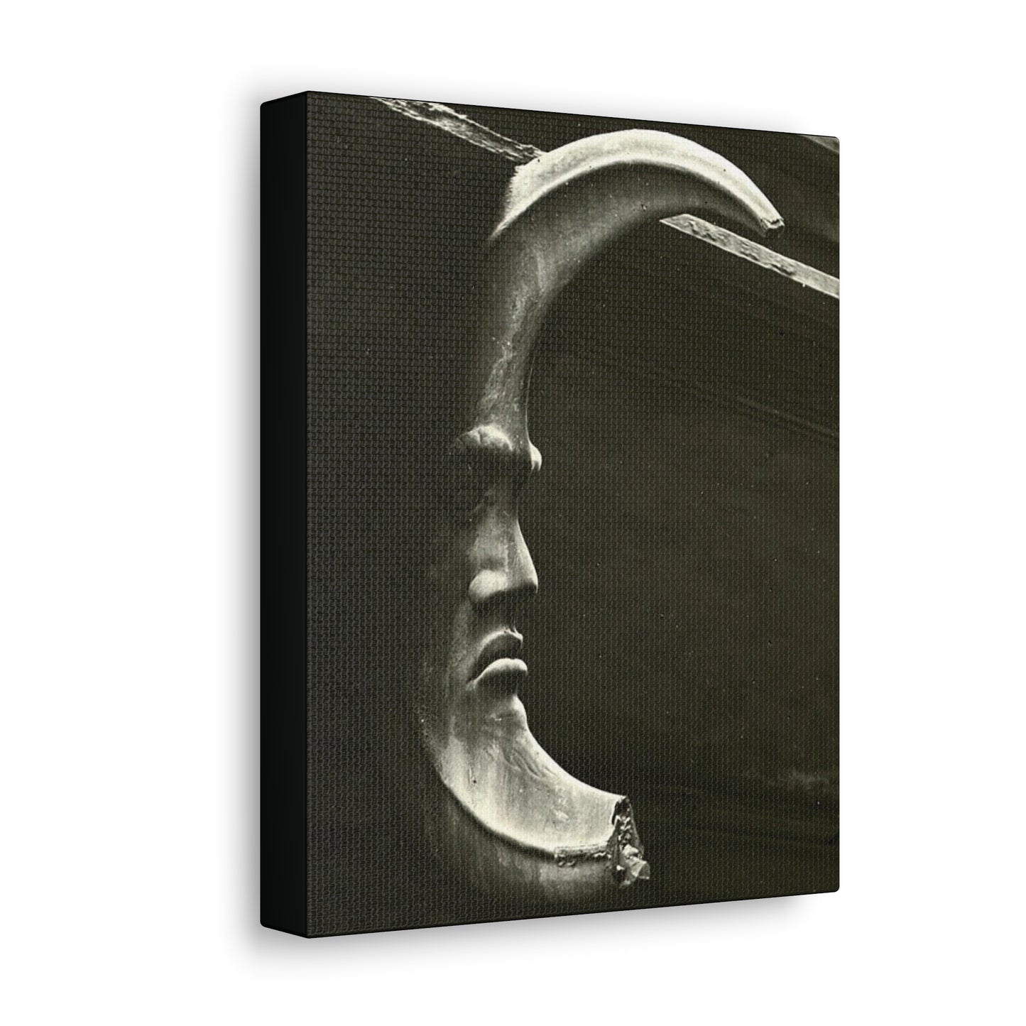 Lunar Enigma: Guardian of Night's Secrets. - Canvas Wrap