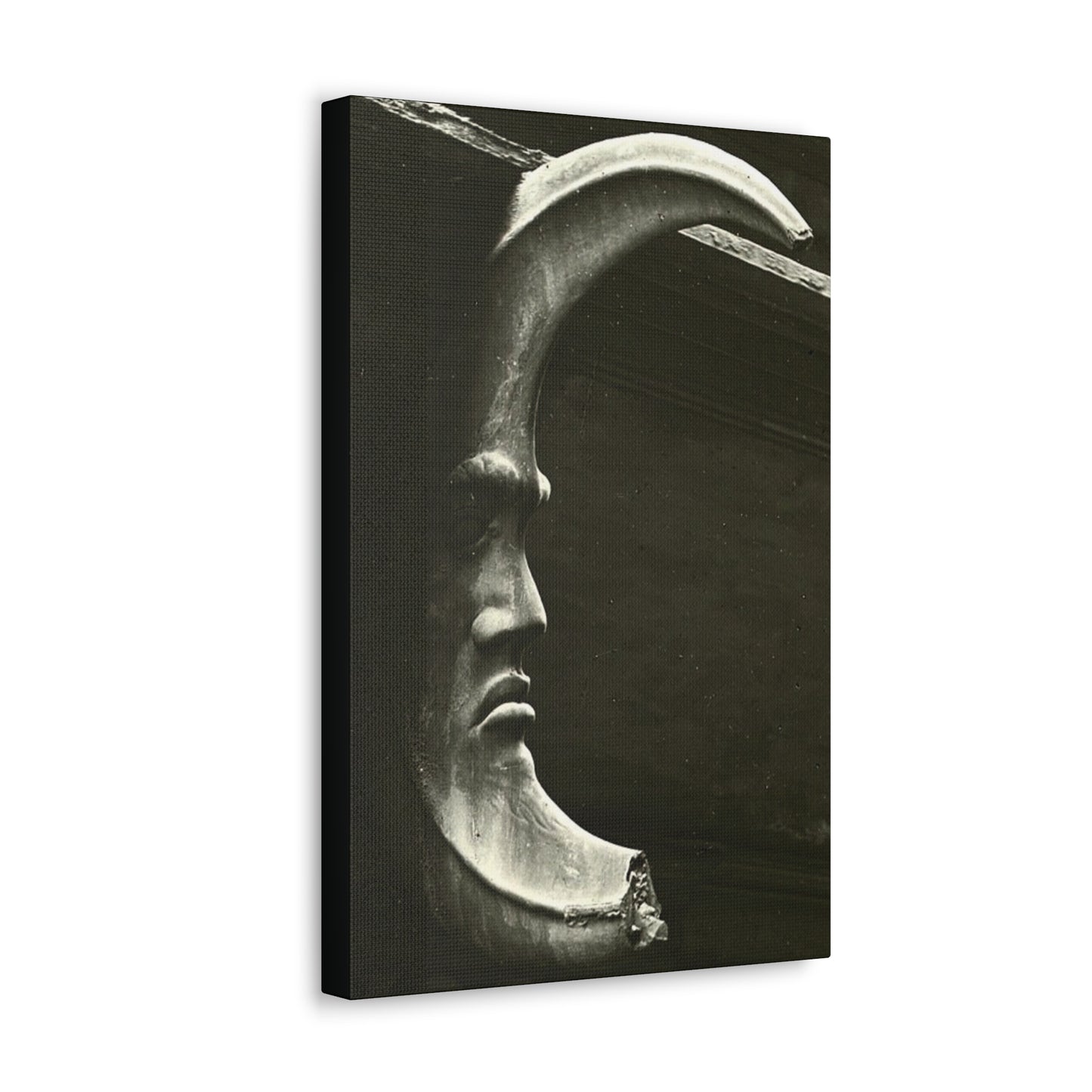 Lunar Enigma: Guardian of Night's Secrets. - Canvas Wrap