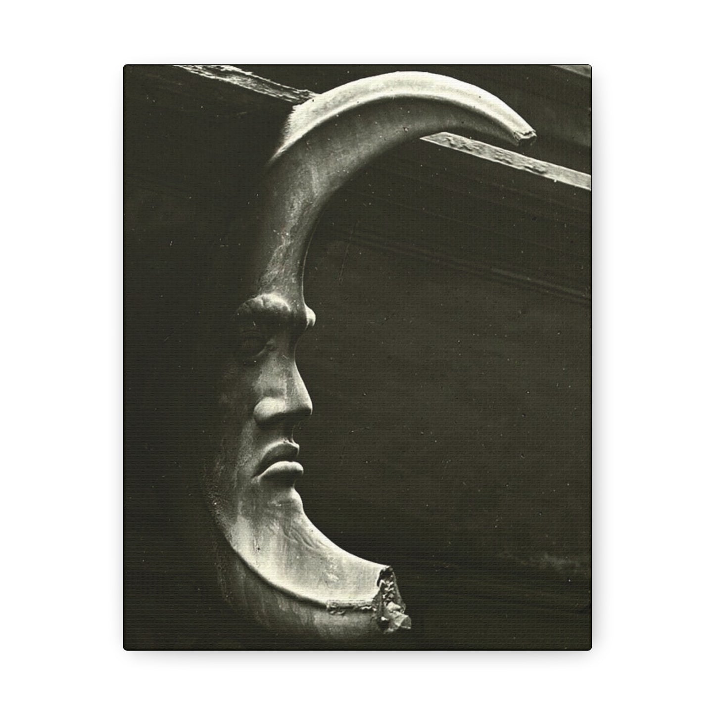 Lunar Enigma: Guardian of Night's Secrets. - Canvas Wrap